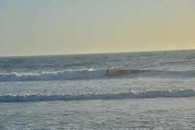 DSC_7248 (Large).JPG